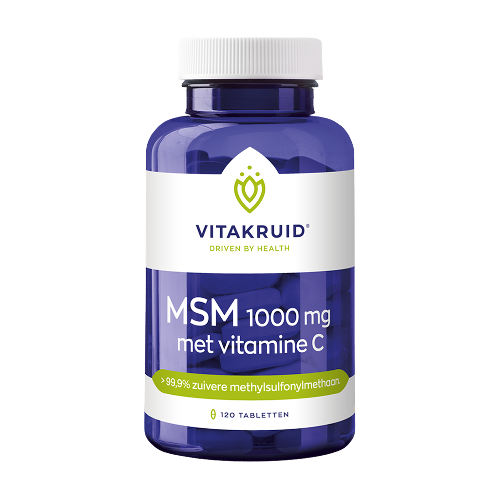 vitakruid msm 1000 mg 1
